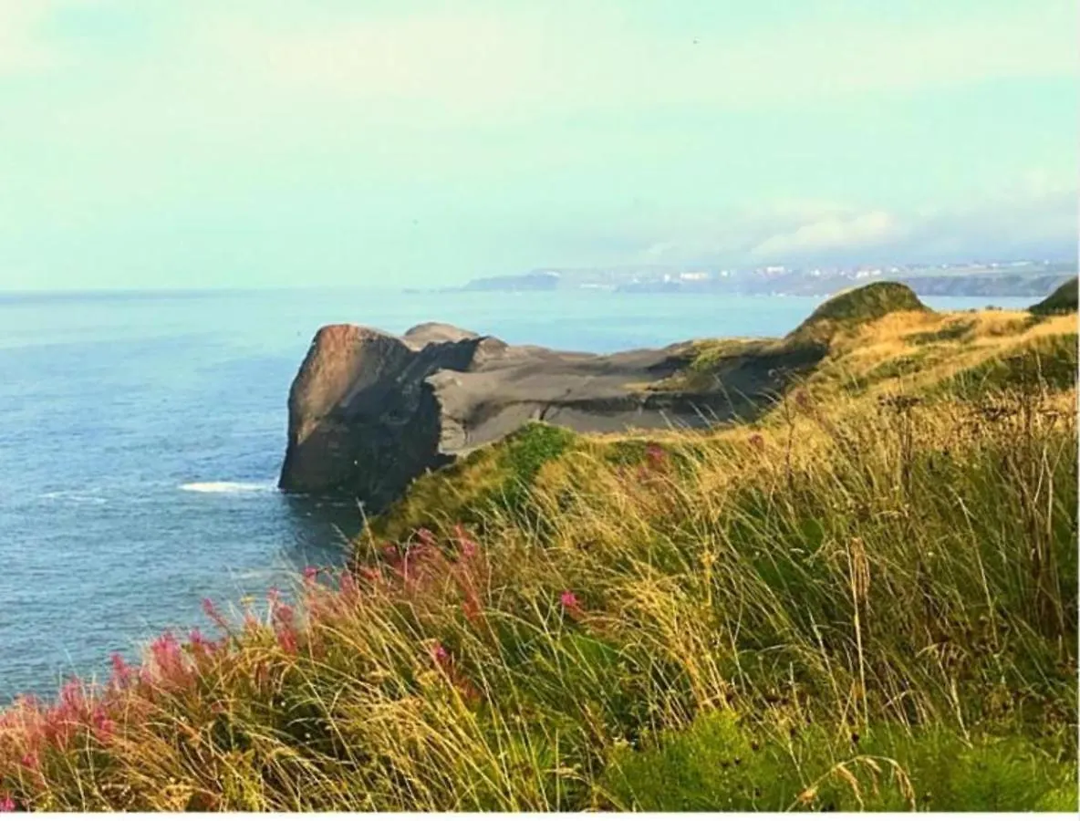 Millstone Cottage - Yorkshire Coast Holiday Lets Whitby