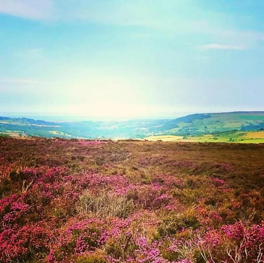 Holiday home Millstone Cottage - Yorkshire Coast Holiday Lets Whitby United Kingdom