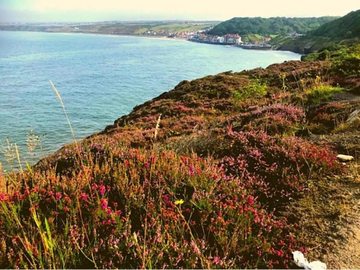 Holiday home Millstone Cottage - Yorkshire Coast Holiday Lets Whitby United Kingdom